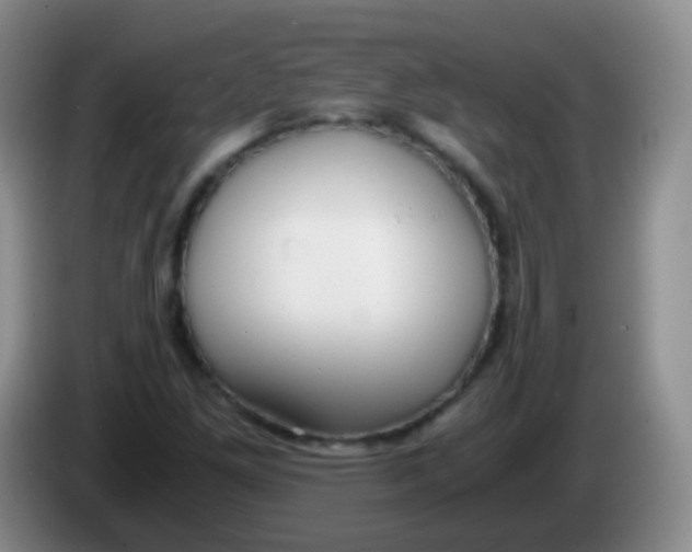 X0000084001261200703091858