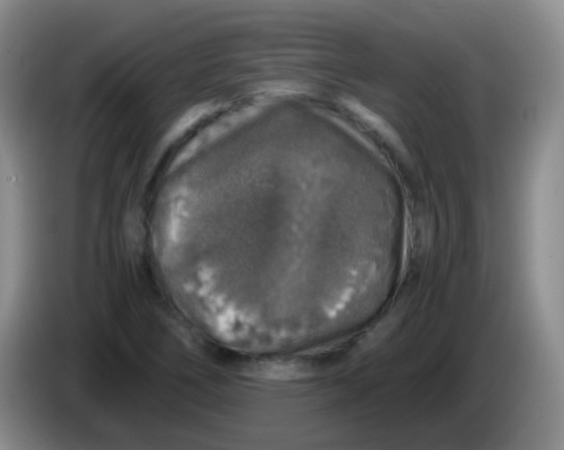 X0000084001266200703091858