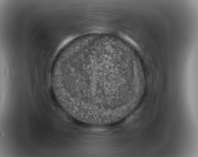 X0000084001267200703091858