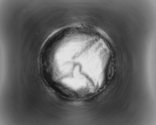 X0000084001268200703091858