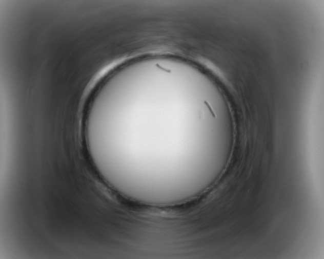 X0000084001270200703091858