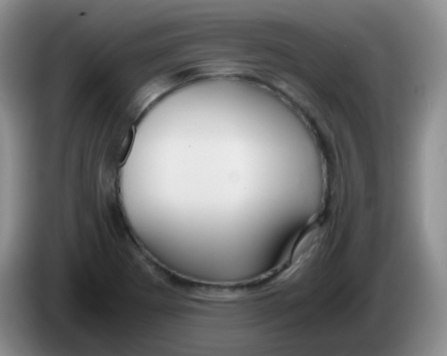 X0000084001273200703091858
