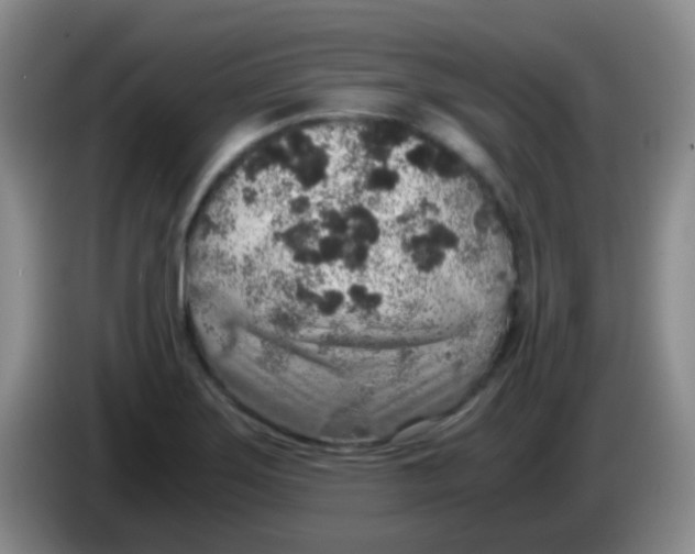 X0000084001275200703091858