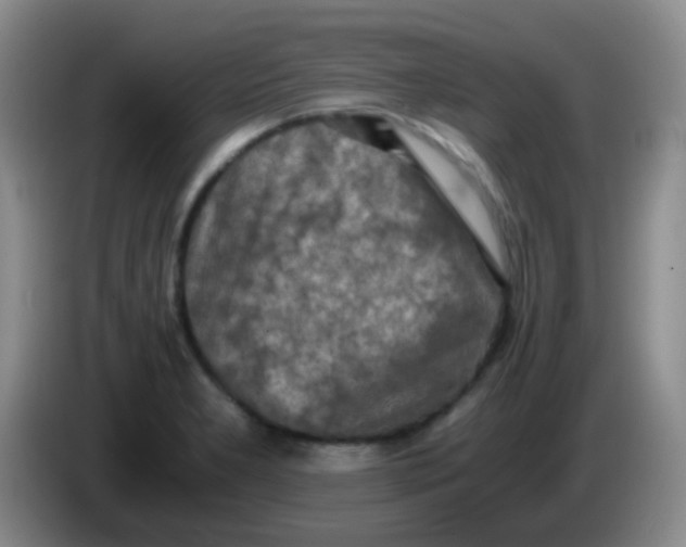 X0000084001277200703091858