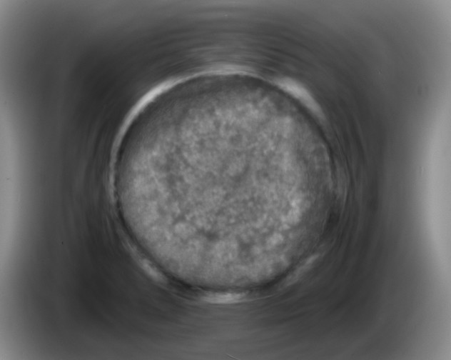 X0000084001278200703091858