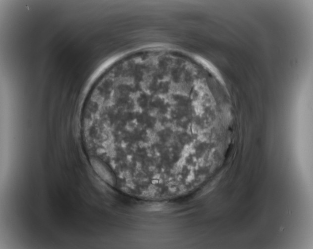 X0000084001279200703091858