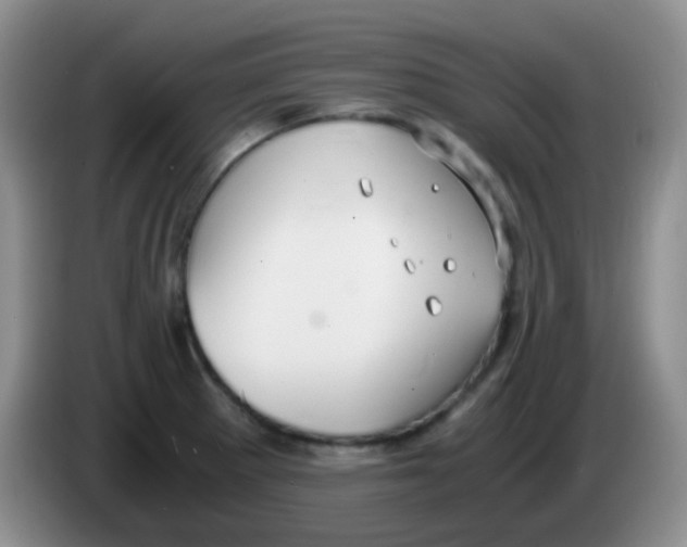 X0000084001281200703091858