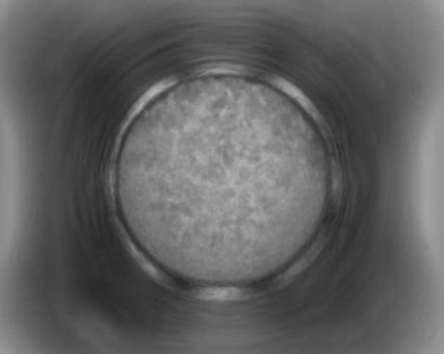 X0000084001282200703091858