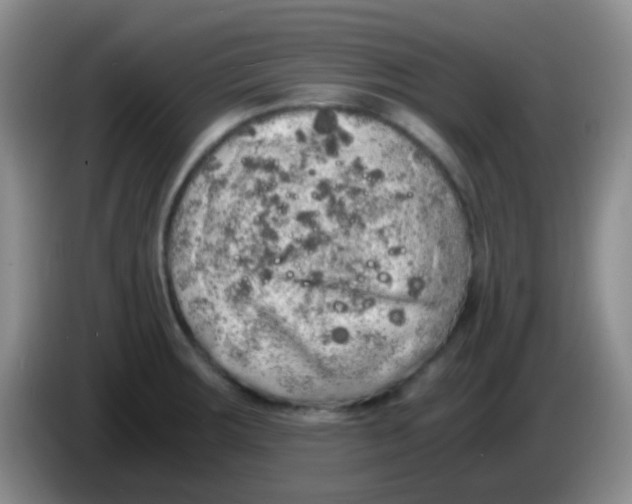 X0000084001283200703091858