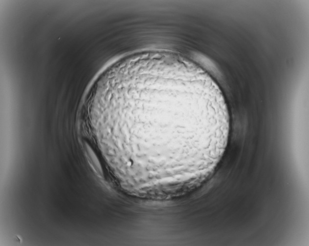 X0000084001284200703091858