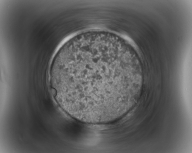 X0000084001287200703091858