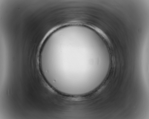 X0000084001288200703091858