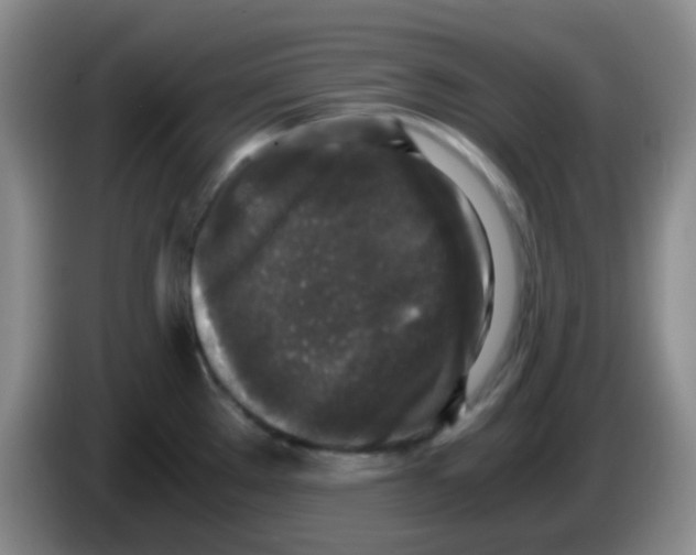 X0000084001289200703091858