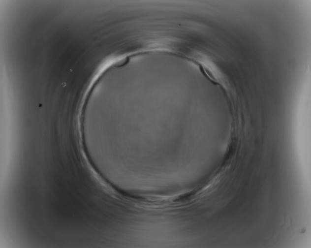X0000084001291200703091858