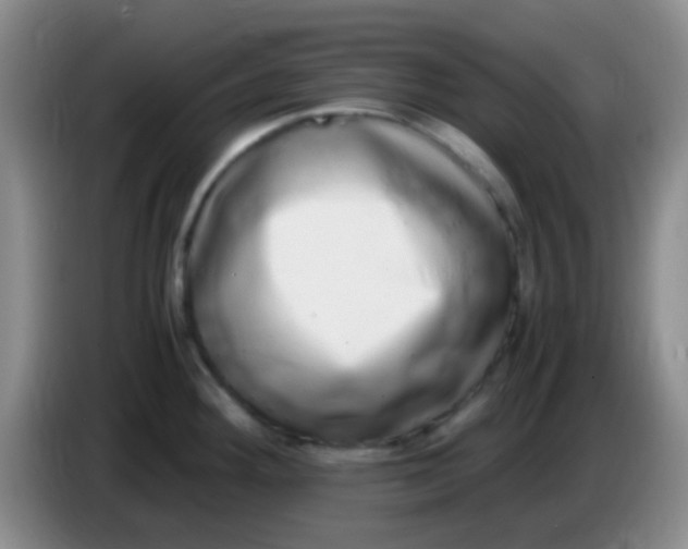 X0000084001292200703091858