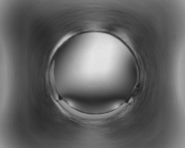 X0000084001293200703091858