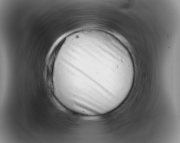 X0000084001296200703091858