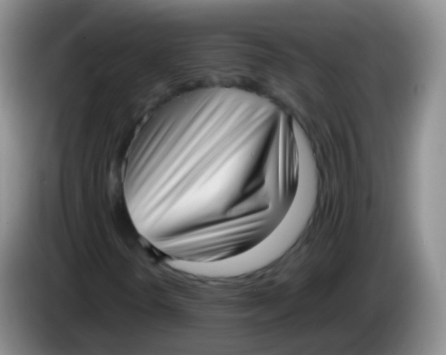 X0000084001298200703091857