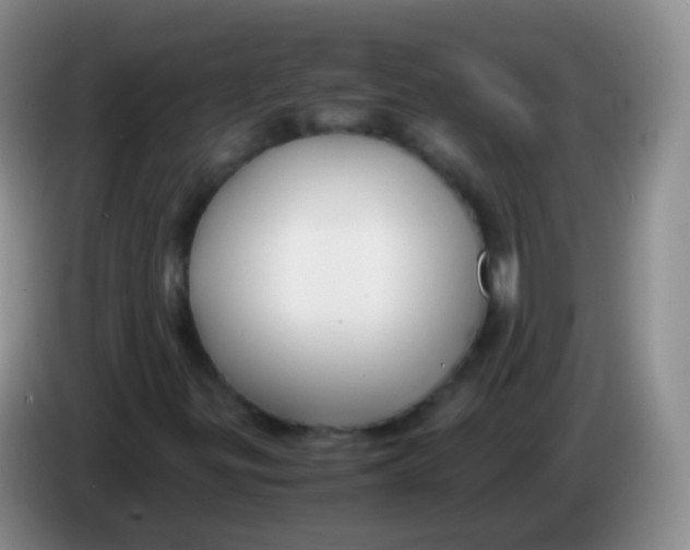 X0000084001299200703091857