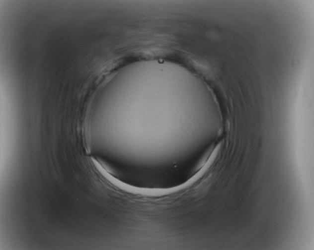 X0000084001300200703091857