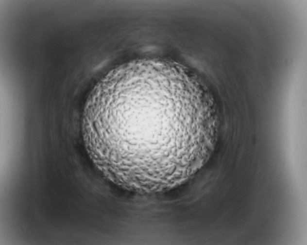 X0000084001301200703091857