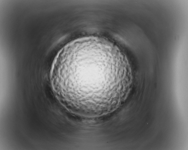 X0000084001302200703091857