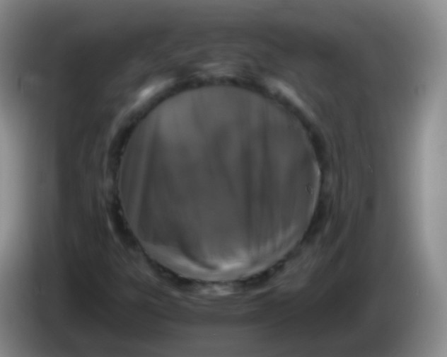 X0000084001303200703091857