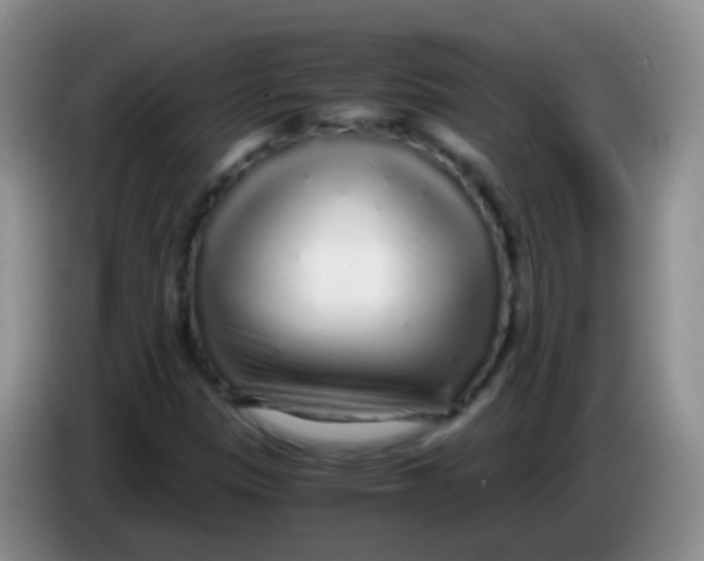 X0000084001305200703091857