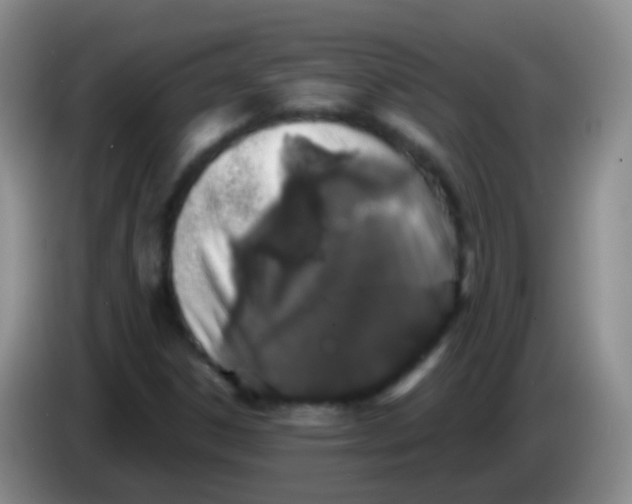 X0000084001306200703091857