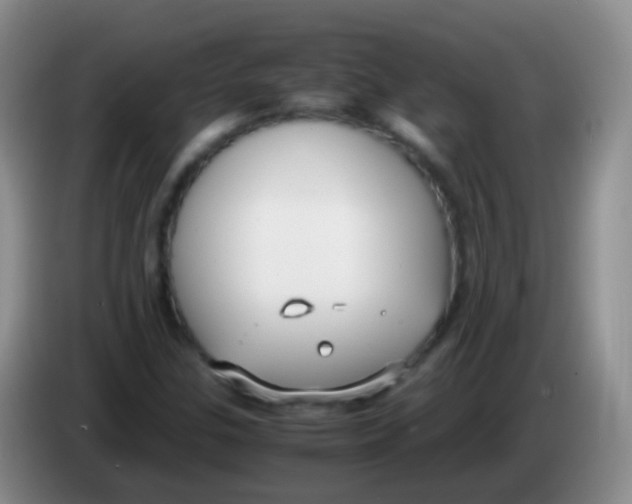 X0000084001307200703091858