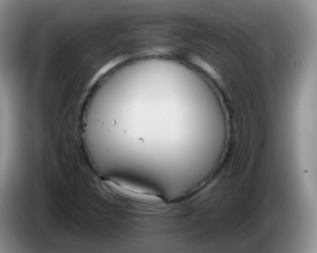X0000084001308200703091858