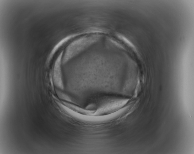 X0000084001310200703091858