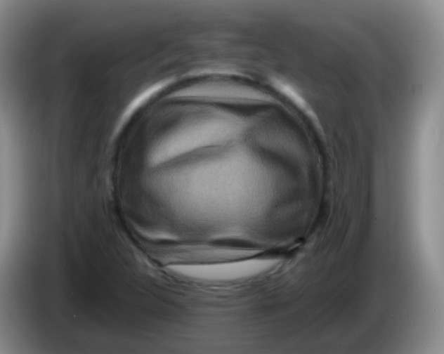 X0000084001312200703091858