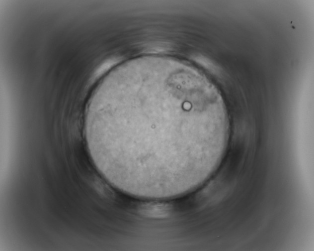 X0000084001314200703091858