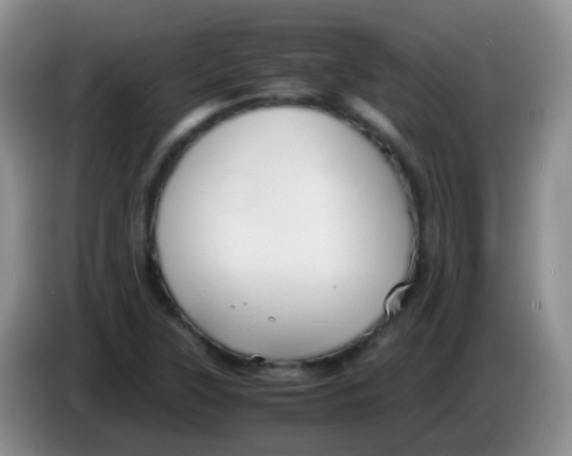 X0000084001315200703091858
