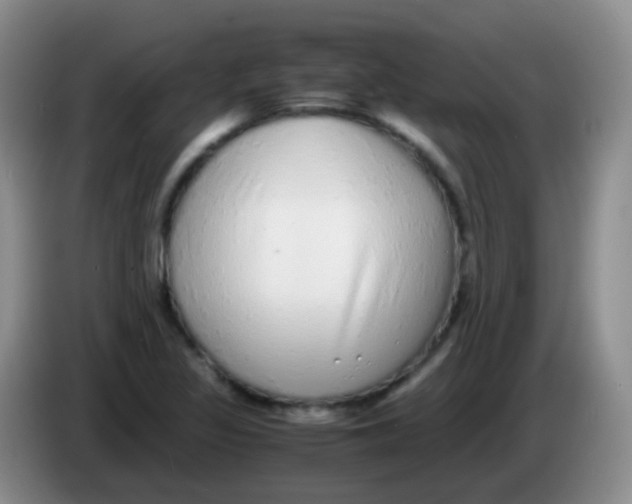 X0000084001317200703091858