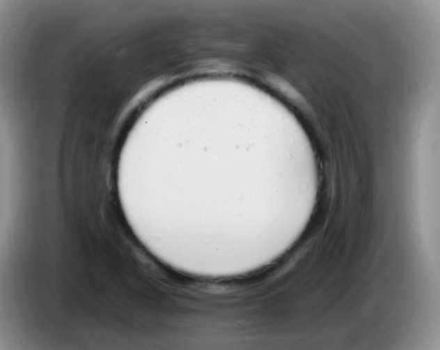X0000084001318200703091858