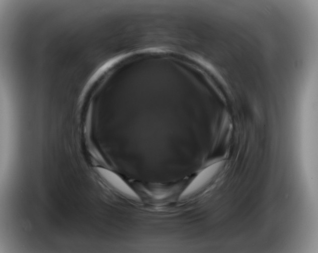 X0000084001319200703091858