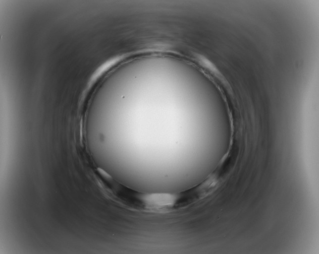 X0000084001320200703091858