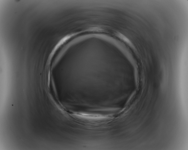 X0000084001323200703091858