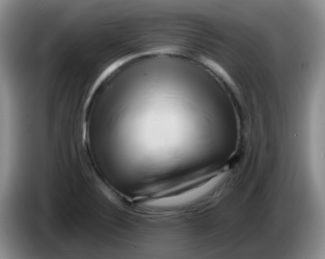 X0000084001324200703091858