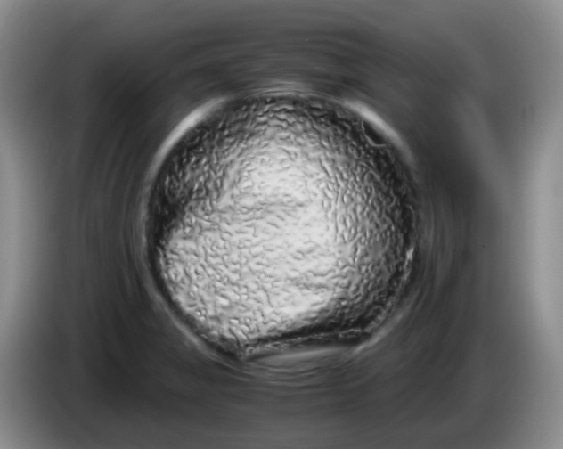 X0000084001325200703091858