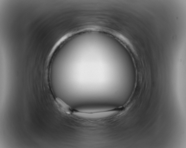 X0000084001326200703091858