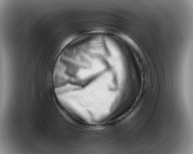 X0000084001329200703091858