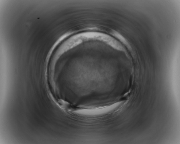 X0000084001331200703091858