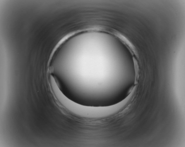 X0000084001332200703091858