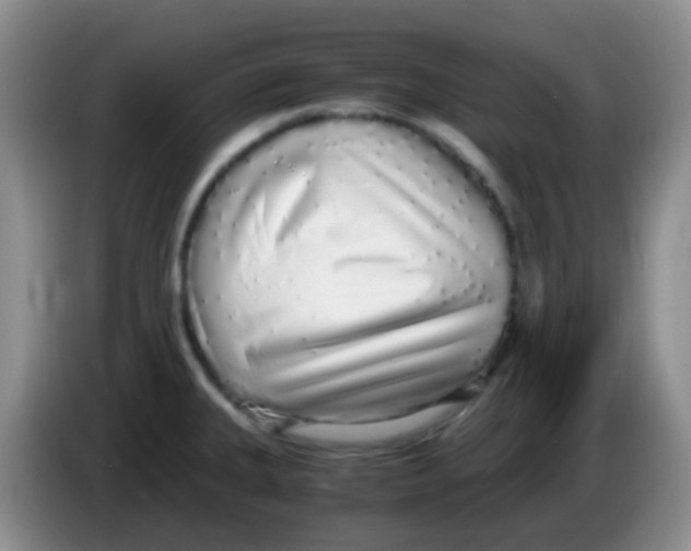 X0000084001335200703091858