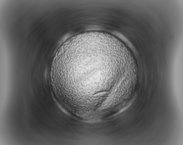 X0000084001337200703091858
