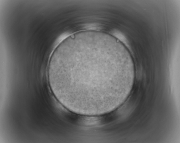 X0000084001338200703091858
