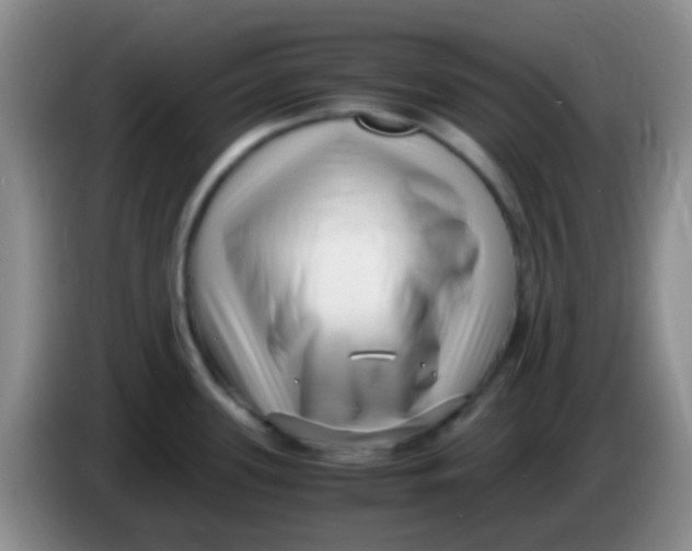 X0000084001339200703091858